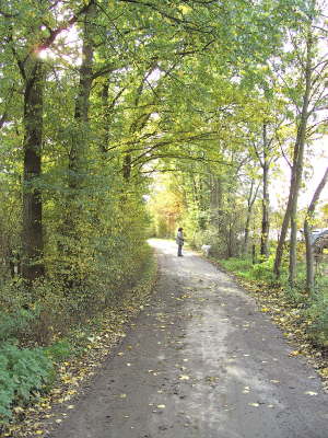 Herbst