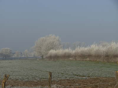 Winterlandschaft